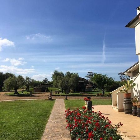 Villa Olga Tarquinia Buitenkant foto