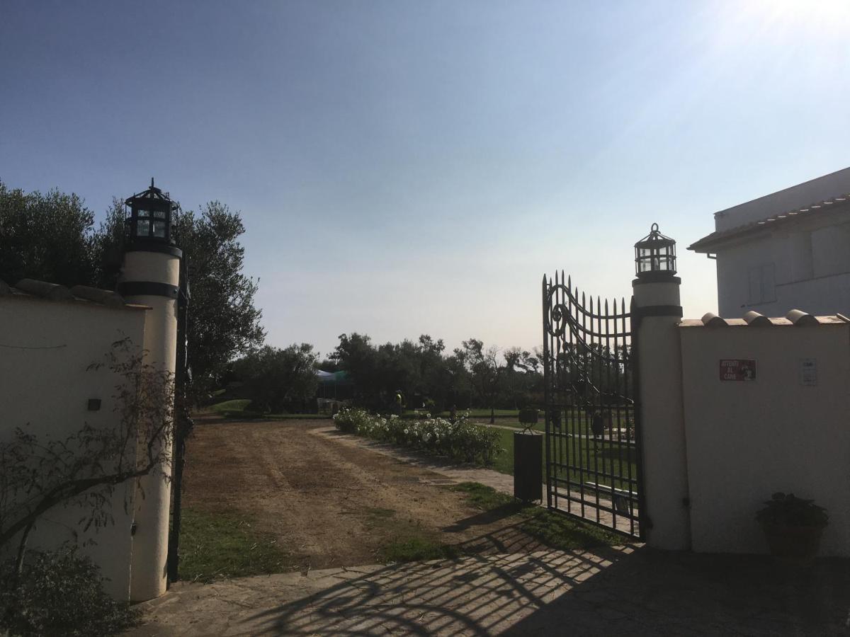 Villa Olga Tarquinia Buitenkant foto