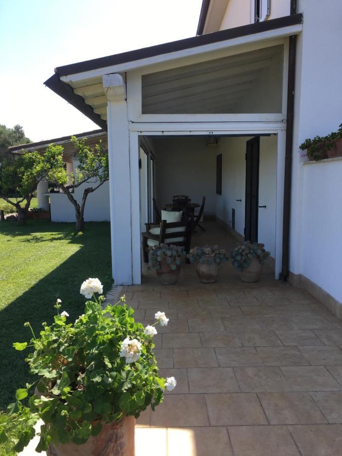 Villa Olga Tarquinia Buitenkant foto