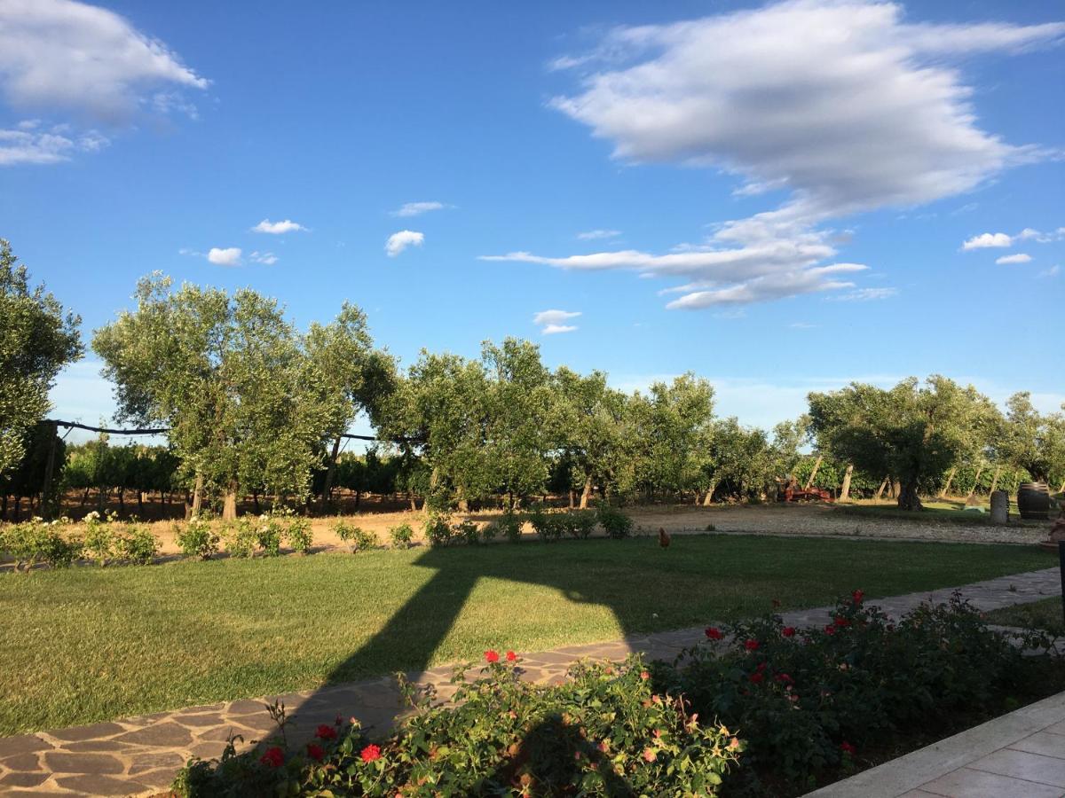 Villa Olga Tarquinia Buitenkant foto
