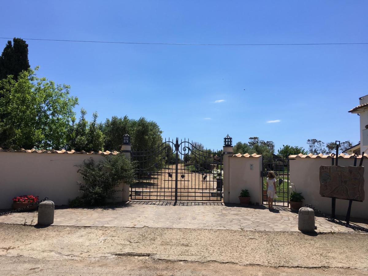 Villa Olga Tarquinia Buitenkant foto