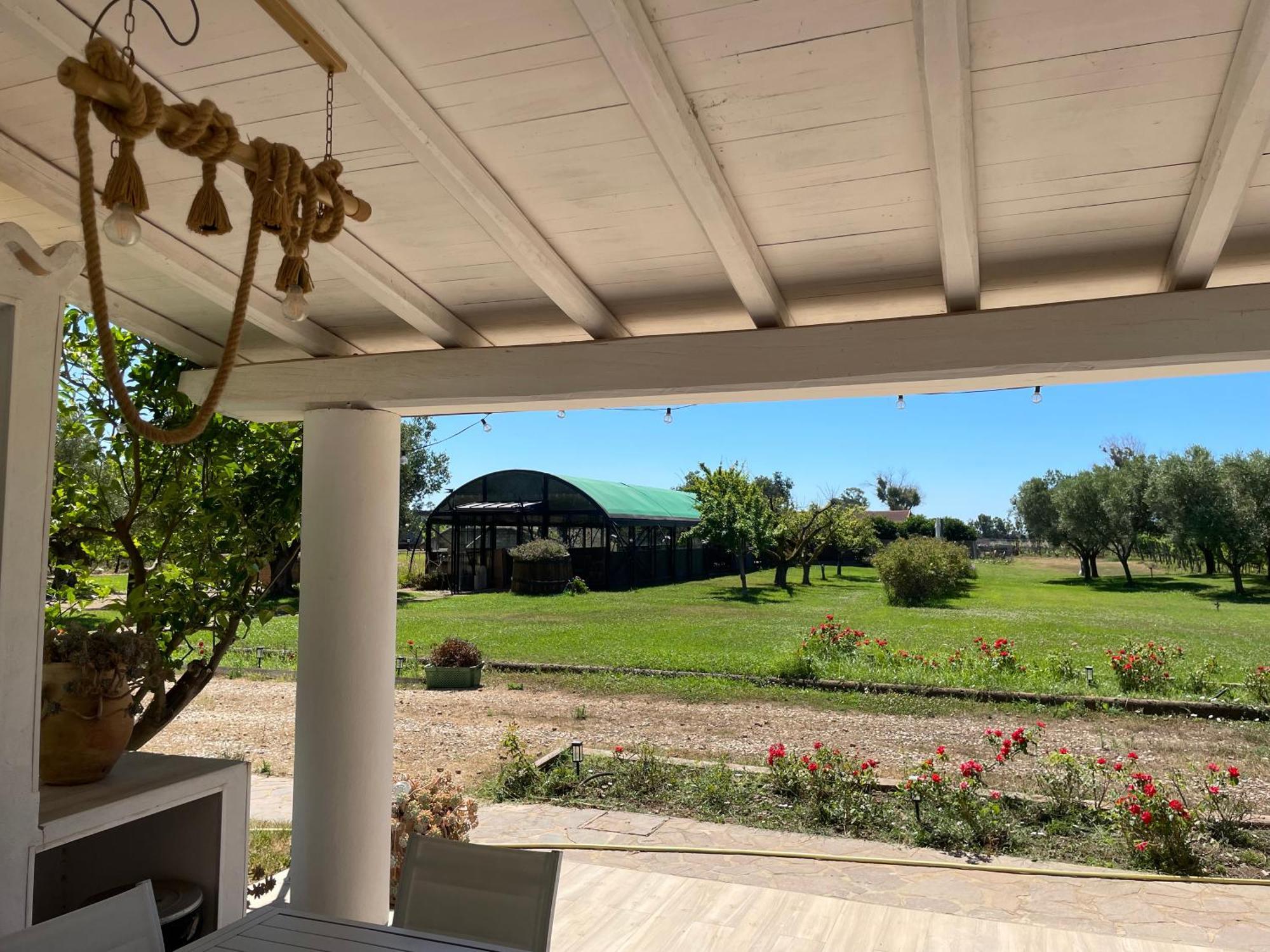 Villa Olga Tarquinia Buitenkant foto