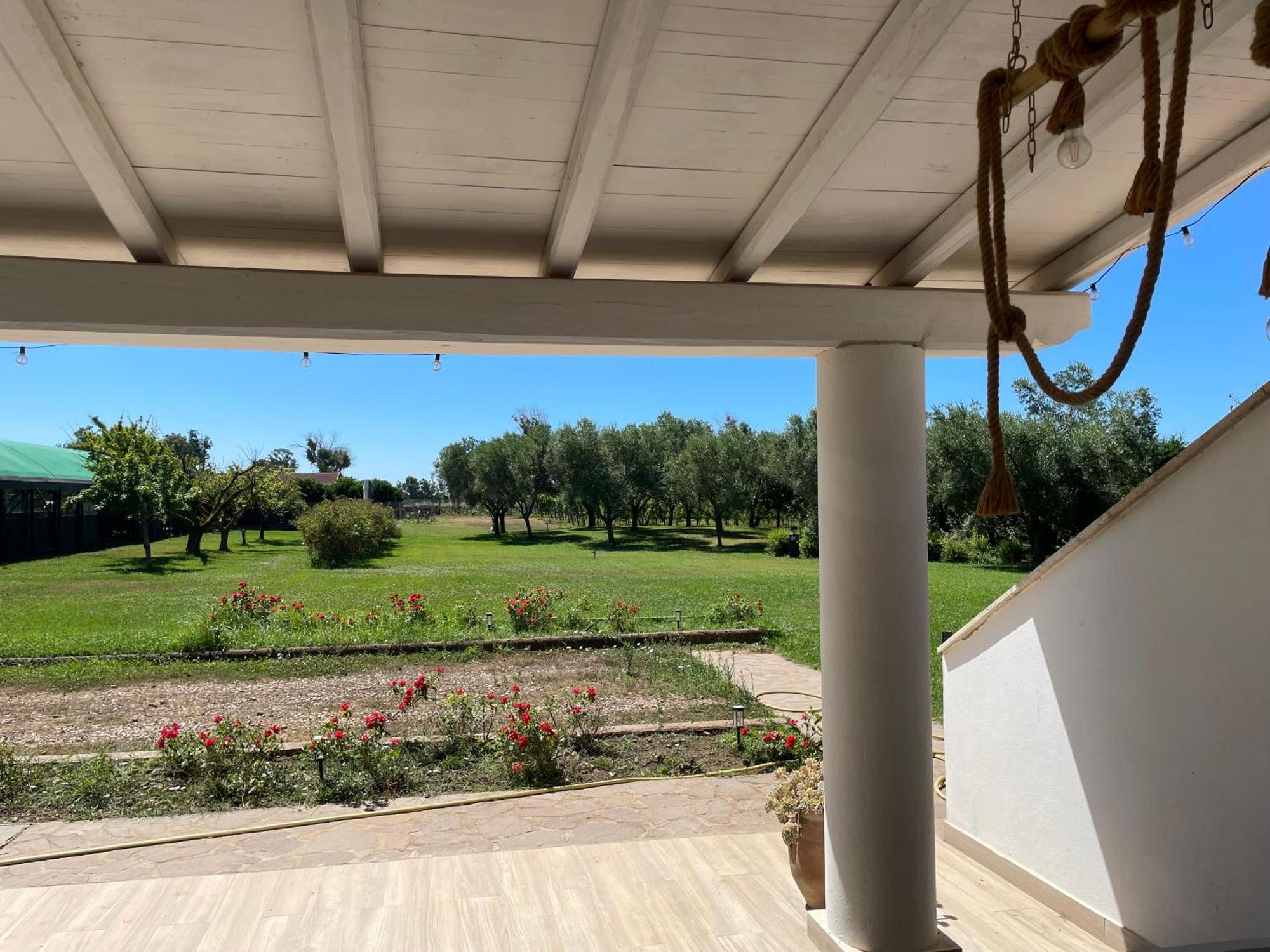 Villa Olga Tarquinia Buitenkant foto