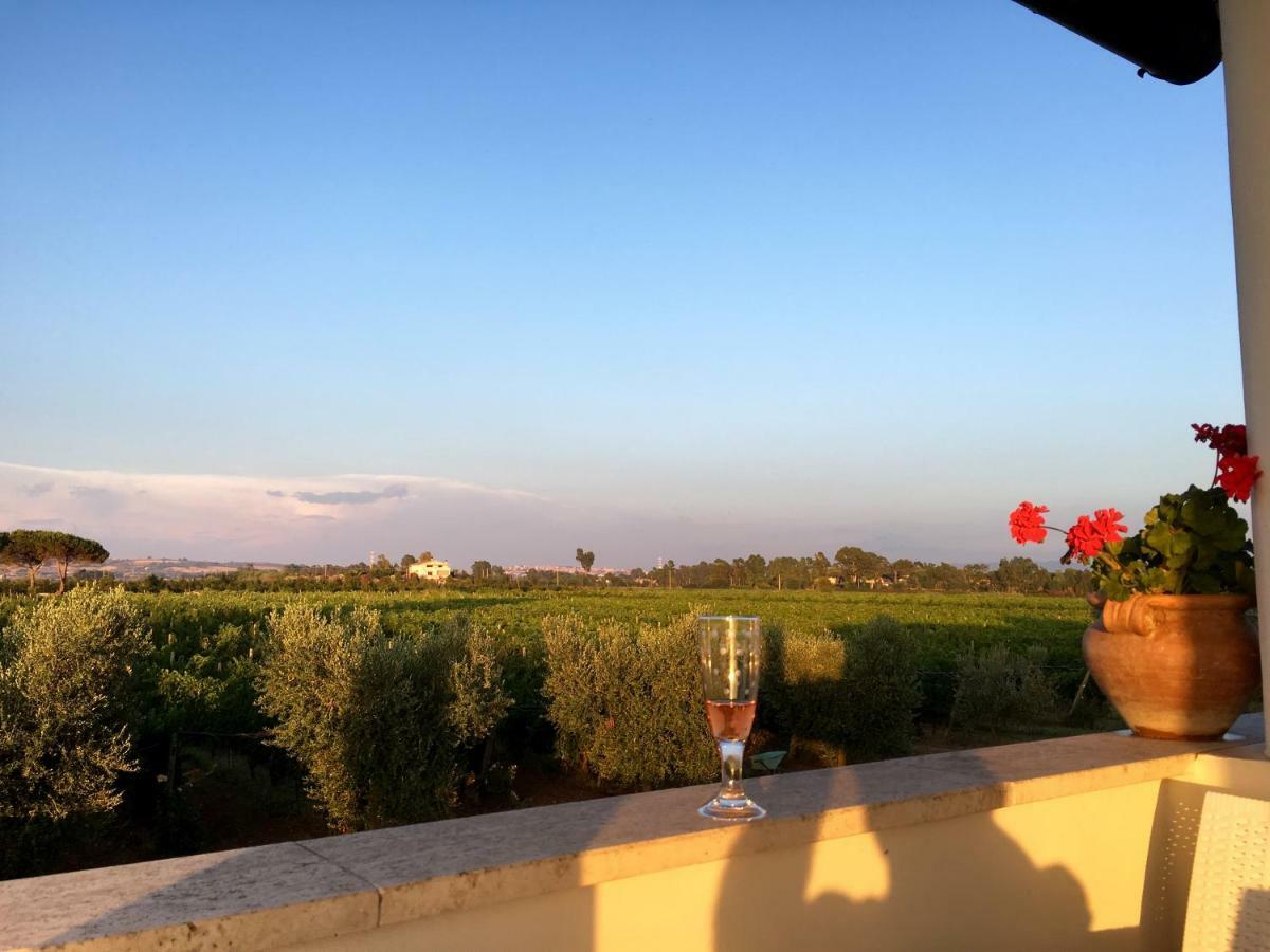 Villa Olga Tarquinia Buitenkant foto