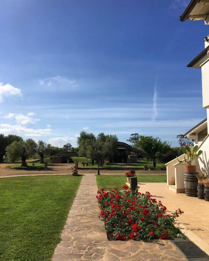 Villa Olga Tarquinia Buitenkant foto